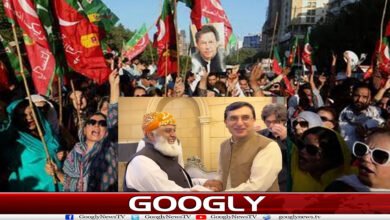 website Googly 213