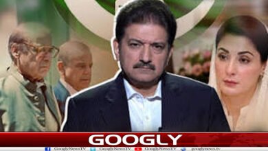 شہبازنئے صوبوں کے بڑے حامی، مریم تقسیم کی مخالف، نواز خاموش کیوں؟ 2 website Googly 22