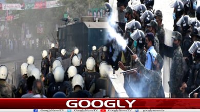 website Googly 229