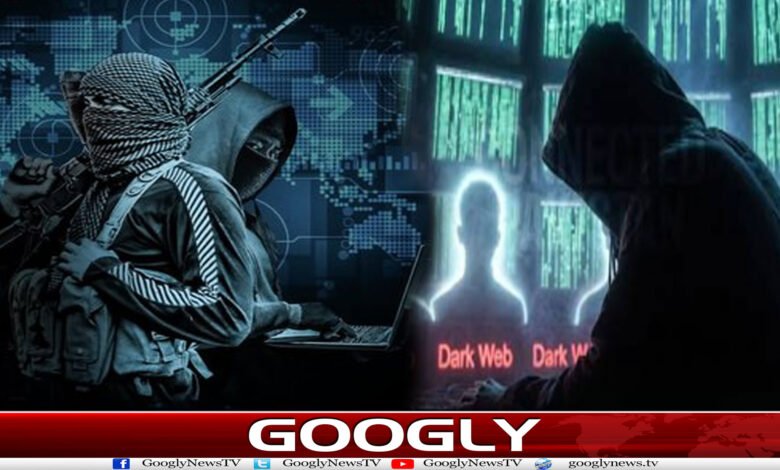 website Googly 231
