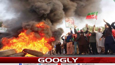 website Googly 235
