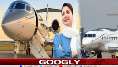 website Googly 256