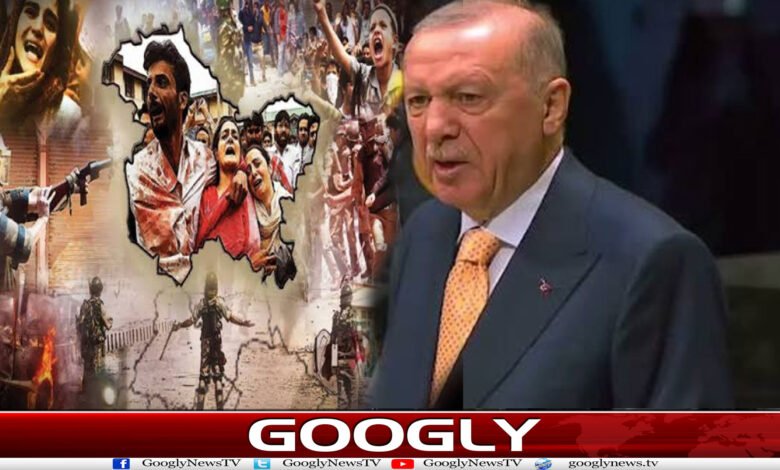 پاکستان سے قربت،انڈیا ناراض، اردوغان بار بار کشمیر کا ذکر کیوں کرتے ہیں؟ 1 website Googly 282