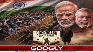 website Googly 303