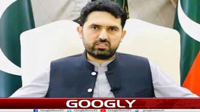website Googly 320
