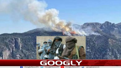 website Googly 323