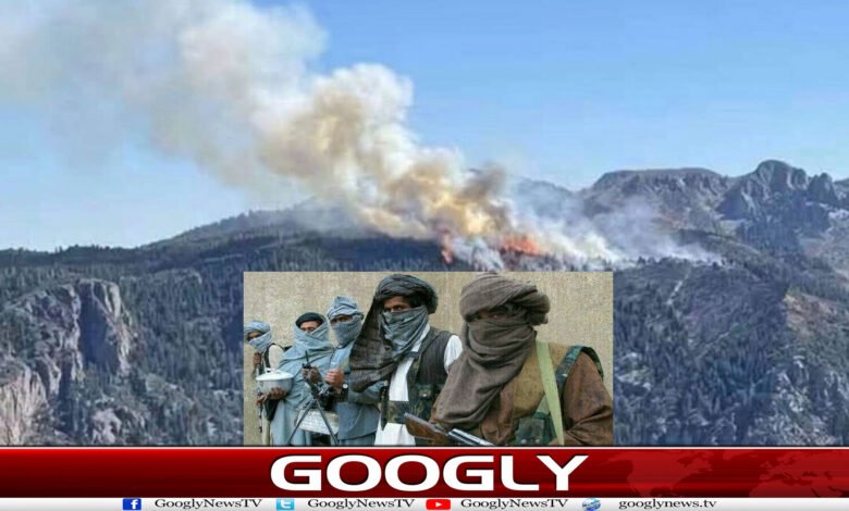 بلوچستان کا جنگل 3دن سےآگ کی لپیٹ میں، سرکاری ادارے بے بس کیوں؟ 1 website Googly 323