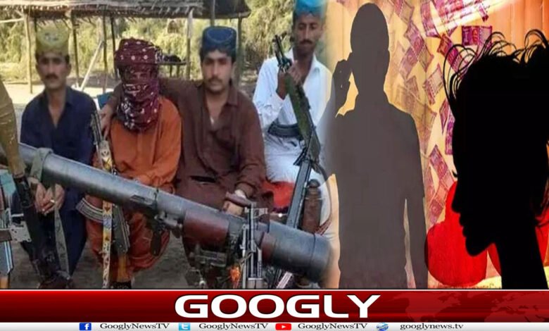 کچے میں دو دہائیوں سے قائم ہنی ٹریپ نیٹ ورک کیسے ٹوٹا؟ 1 website Googly 325