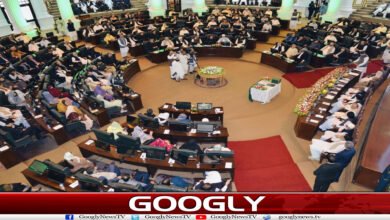 website Googly 345