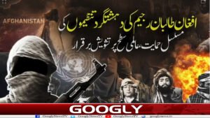 افغانستان دہشتگردوں کیلئے محفوظ پناہ گاہ،خطےکا امن خطرے میں
