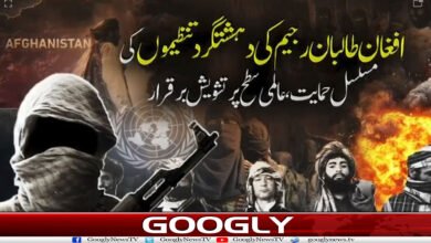 افغانستان دہشتگردوں کیلئے محفوظ پناہ گاہ،خطےکا امن خطرے میں 2 website Googly 37