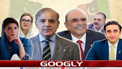 نئے صوبوں کا معاملہ، پیپلز پارٹی اور ن لیگ میں ٹکراؤ کیوں بڑھ گیا؟ 2 website Googly 38