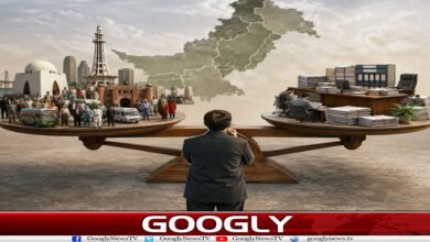 نئے صوبے یا مضبوط بلدیاتی نظام؟ انتظامی مسائل کا اصل حل کیا؟ 5 website Googly 4