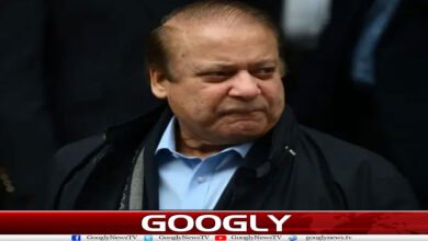 website Googly 41