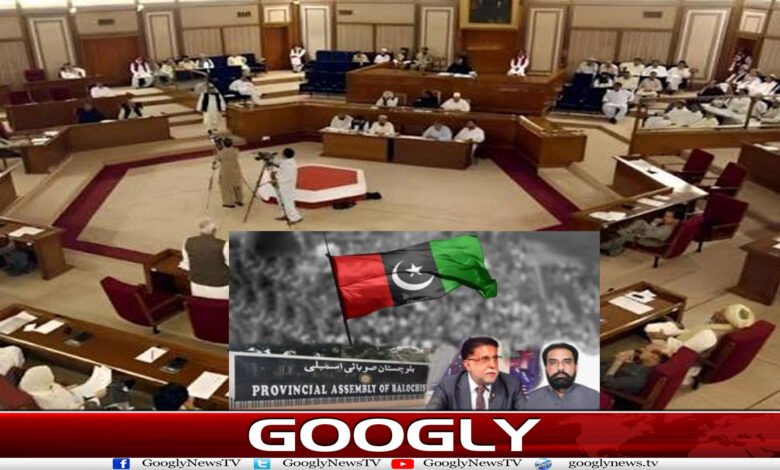 بلوچستان اسمبلی، پیپلز پارٹی کے اندرونی اختلافات بے نقاب 1 website Googly 43