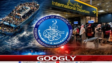 پاکستان سے ڈنکی اور غیر قانونی ہجرت میں کمی کیسے آئی؟ 5 website Googly 70
