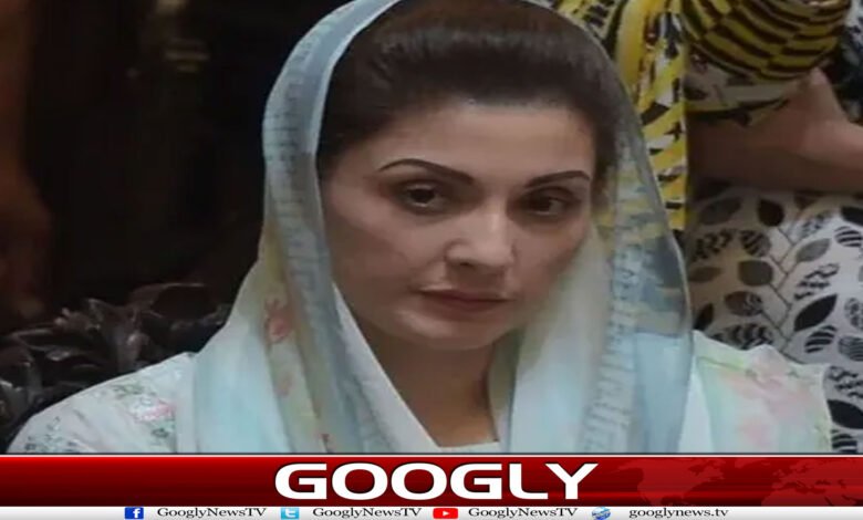 وزیر اعلیٰ پنجاب مریم نواز مسلسل تنقید کی زد میں کیوں؟ 1 website Googly 84