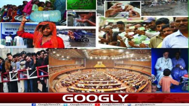 نئے صوبے یا انتظامی یونٹس، فیصلہ پارلیمنٹ کرے گی یا عوامی ریفرنڈم؟ 5 website Googly 87