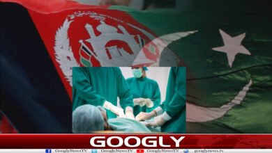 website Googly 96