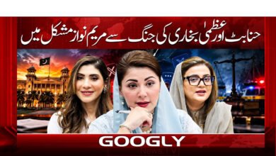 Maryam Nawaz in trouble due to Hina Butt and Uzma Bukhari's fight
