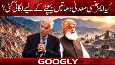 Was the state of emergency imposed in order to extract and sell minerals?