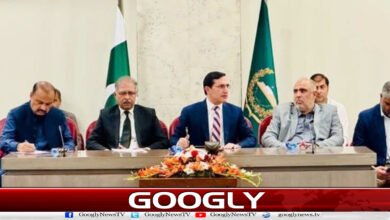 PTI's parliamentary party meeting statement issued, Governor's rule declared an attack on the constitution