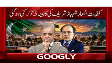 Shehbaz Sharif’s 73-member cabinet