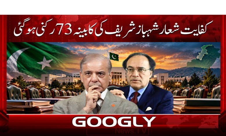 Shehbaz Sharif’s 73-member cabinet