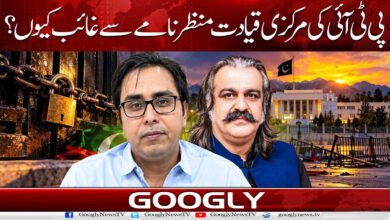 پی ٹی آئی کی مرکزی قیادت منظر نامے سے غائب کیوں؟ 5 Why is the PTI's central leadership absent from the scene?