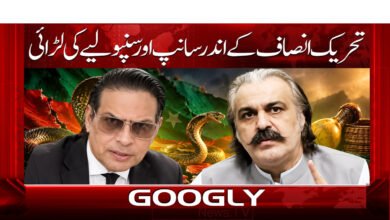 A battle of snakes and snakelets within the Tehreek-e-Insaf
