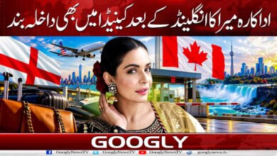 اداکارہ میرا کا انگلینڈ کے بعد کینیڈا میں بھی داخلہ بند 3 Actress Meera denied entry to Canada after England
