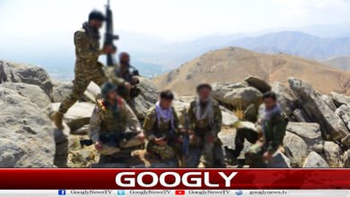 Anti-Taliban operations intensify in Afghanistan; 38 personnel reported killed