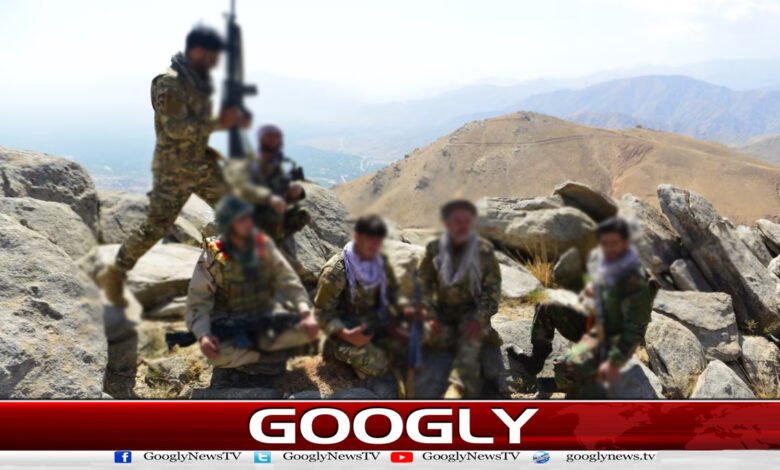 Anti-Taliban operations intensify in Afghanistan; 38 personnel reported killed