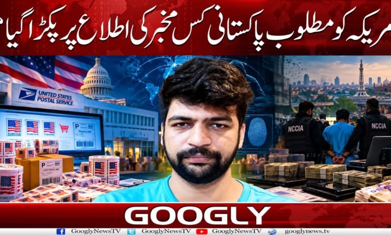Based on information from which informant was the Pakistani wanted by the US captured?