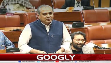 Maulana Fazl-ur-Rehman, you will no longer get a job in the state: Mohsin Naqvi