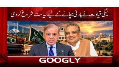 The PML-N leadership has initiated political maneuvers to save the party.