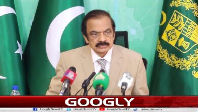 PTI leaders were an obstacle to the operation against terrorism: Rana Sanaullah