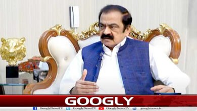Any political party that does not stand with the forces will be sidelined: Rana Sanaullah