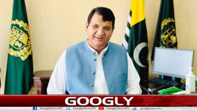 خیبرپختونخوا میں پی ٹی آئی کی سیاست دفن ہوچکی : امیر مقام 5 PTI's politics has been buried in Khyber Pakhtunkhwa: Amir Muqam