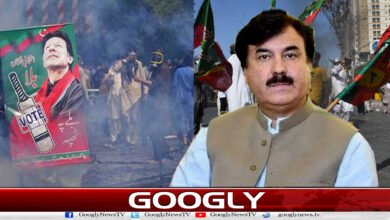 Politics of resistance has harmed the PTI: Shaukat Yousafzai