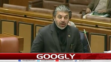 No Charter of Democracy can succeed without Imran Khan: Ali Muhammad Khan
