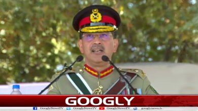 Cross-border infiltration will not be tolerated under any circumstances: General Aamir Raza