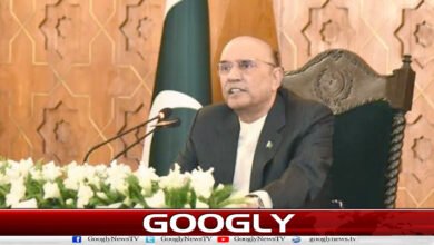 President of the State calls upon the United Nations to play a role in a just resolution of the Kashmir issue.