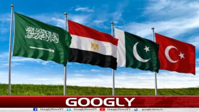 Pakistan, Egypt, and Turkey strongly condemn Houthi attacks on Saudi Arabia.