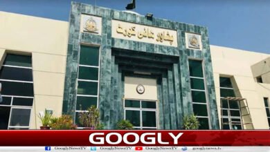 پشاور ہائی کورٹ : خیبرپختونخوا میں ایمرجنسی اور گورنر راج کے خلاف درخواستیں سماعت کےلیے مقرر 5 Peshawar High Court: Petitions against emergency and Governor's rule in Khyber Pakhtunkhwa scheduled for hearing