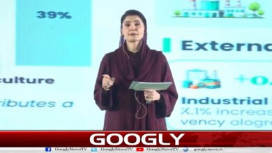 A favorable environment is essential for industrial development and the promotion of business: Maryam Nawaz