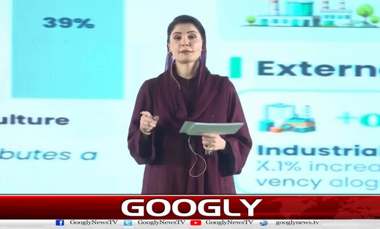 A favorable environment is essential for industrial development and the promotion of business: Maryam Nawaz