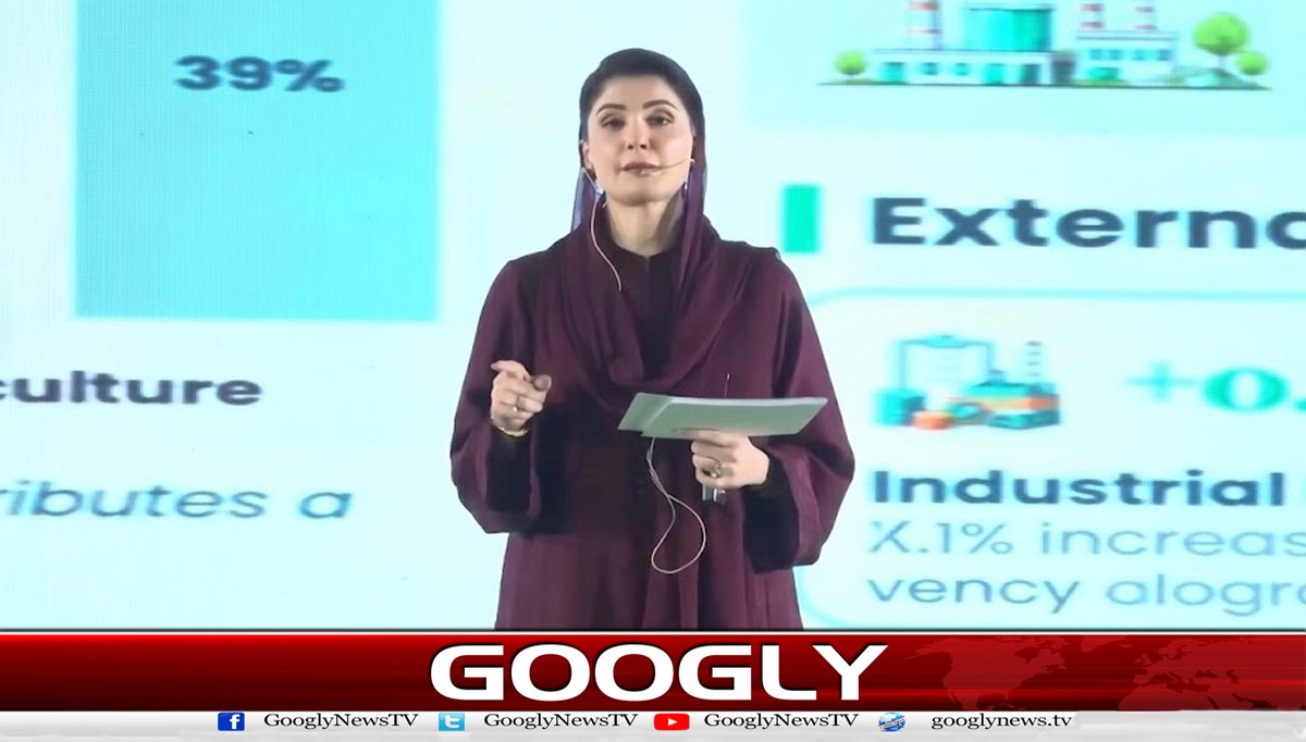 A favorable environment is essential for industrial development and the promotion of business: Maryam Nawaz