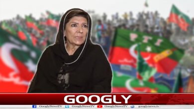 November 26 Protest Case: Verdict against Aleema Khan to be announced on November 26