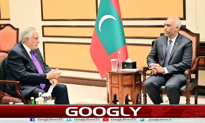 Maldives President meets Ishaq Dar, emphasizes promotion of bilateral cooperation